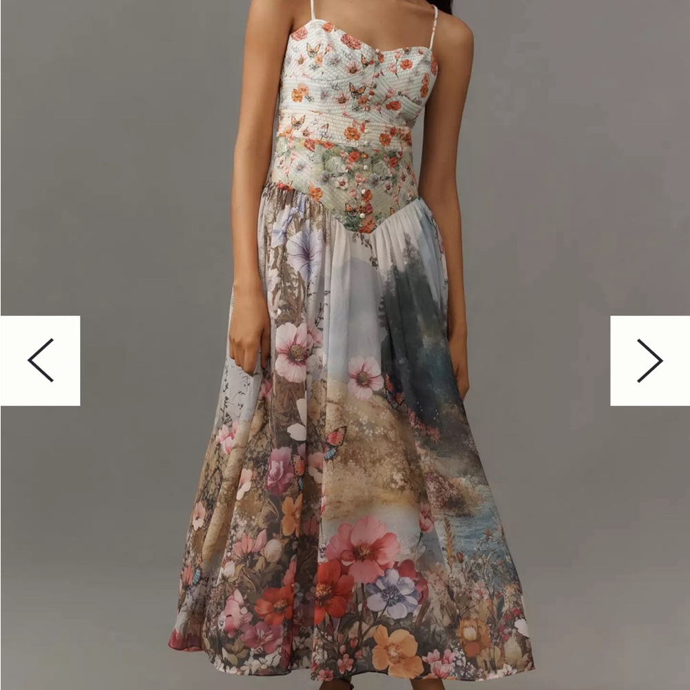 Anthropologie Floral Midi Dress - NWT